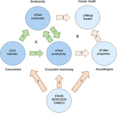 Environmental degradation and the increasing burden of allergic disease: The need to determine the impact of nitrogen pollution